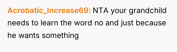 Acrobatic_Increase69 NTA your grandchild needs to learn the word no...