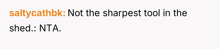 saltycathbk Not the sharpest tool in the shed.: NTA.