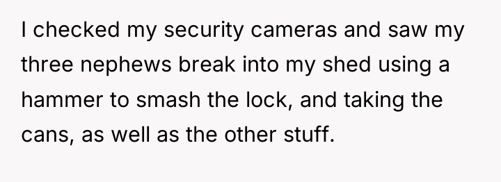 I checked my security cameras and saw my three nephews...