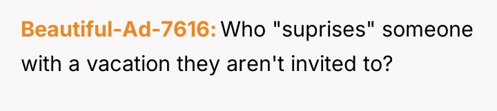 Beautiful-Ad-7616 Who "suprises" someone with a vacation they aren't invited...