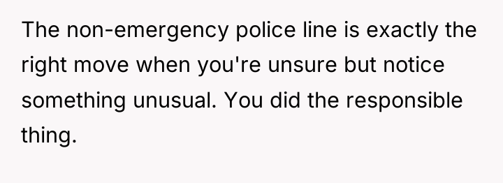 The non-emergency police line is exactly the right move when...