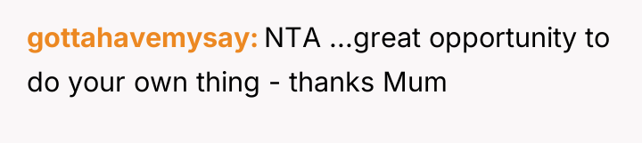 gottahavemysay NTA ...great opportunity to do your own thing -...