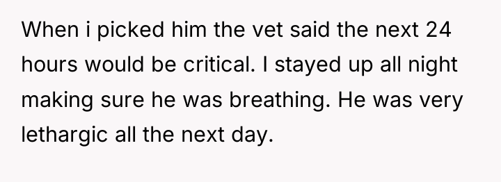 When i picked him the vet said the next 24...