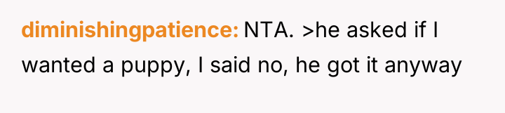 diminishingpatience NTA. >he asked if I wanted a puppy, I...
