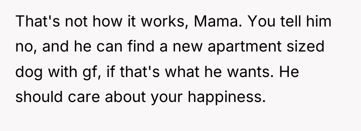 That's not how it works, Mama. You tell him no,...