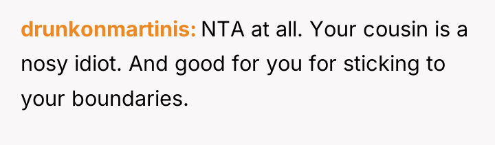 drunkonmartinis NTA at all. Your cousin is a nosy idiot....
