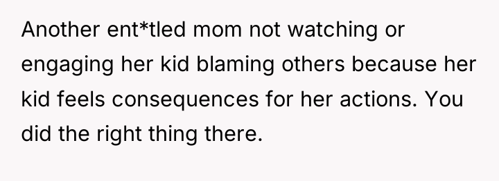Another ent*tled mom not watching or engaging her kid blaming...