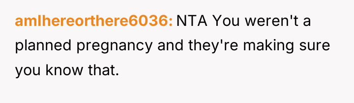 amIhereorthere6036 NTA You weren't a planned pregnancy and they're making...