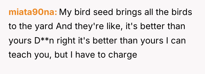 miata90na My bird seed brings all the birds to the...