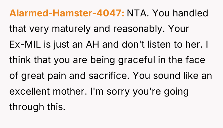 Alarmed-Hamster-4047 NTA. You handled that very maturely and reasonably. Your...