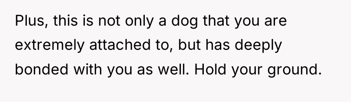 Plus, this is not only a dog that you are...