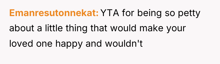 Emanresutonnekat YTA for being so petty about a little thing...