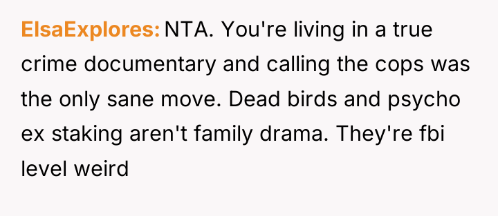 ElsaExplores NTA. You're living in a true crime documentary and...