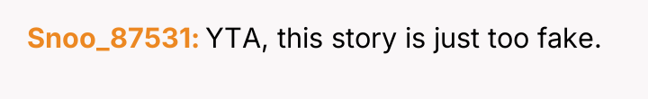 Snoo_87531 YTA, this story is just too fake.