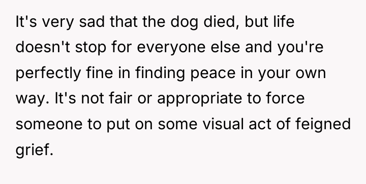 It's very sad that the dog died, but life doesn't...