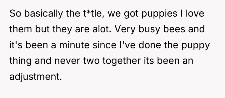 So basically the t*tle, we got puppies I love them...