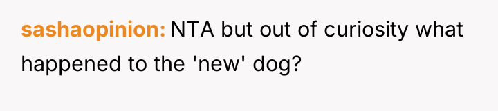sashaopinion NTA but out of curiosity what happened to the...