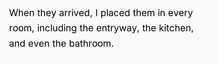 When they arrived, I placed them in every room, including...