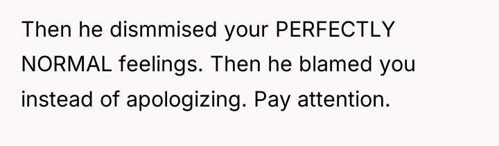 Then he dismmised your PERFECTLY NORMAL feelings. Then he blamed...