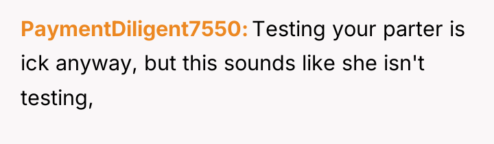 PaymentDiligent7550 Testing your parter is ick anyway, but this sounds...