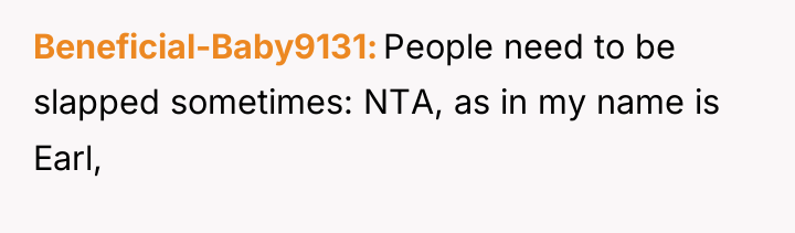 Beneficial-Baby9131 People need to be slapped sometimes: NTA, as in...