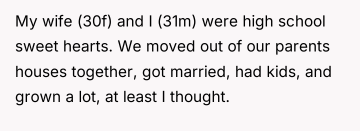 My wife (30f) and I (31m) were high school sweet...