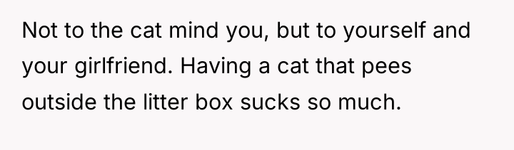 Not to the cat mind you, but to yourself and...