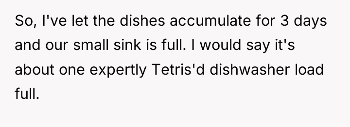 So, I've let the dishes accumulate for 3 days and...