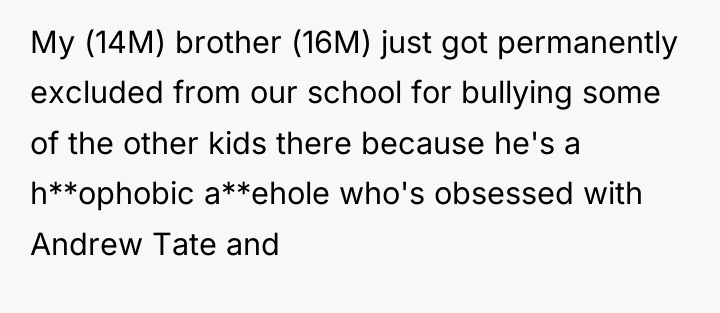 My (14M) brother (16M) just got permanently excluded from our...
