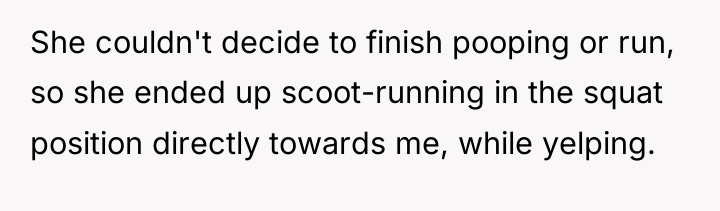 She couldn't decide to finish pooping or run, so she...