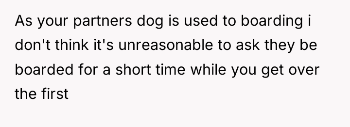 As your partners dog is used to boarding i don't...