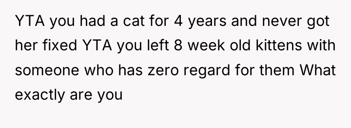 YTA you had a cat for 4 years and never...