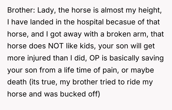 Brother: Lady, the horse is almost my height, I have...