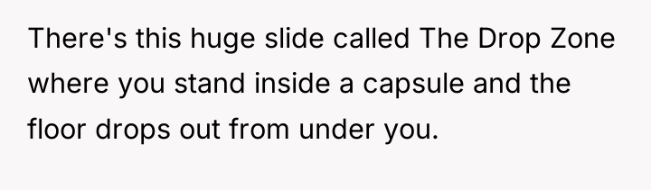 There's this huge slide called The Drop Zone where you...
