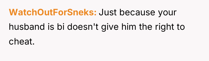 WatchOutForSneks Just because your husband is bi doesn't give him...