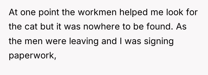 At one point the workmen helped me look for the...