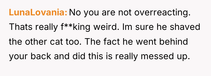 LunaLovania No you are not overreacting. Thats really f**king weird....