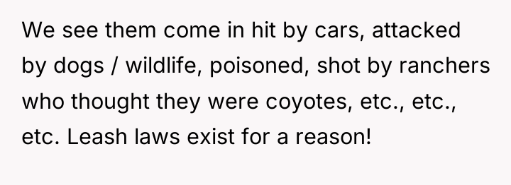 We see them come in hit by cars, attacked by...