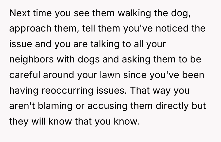 Next time you see them walking the dog, approach them,...