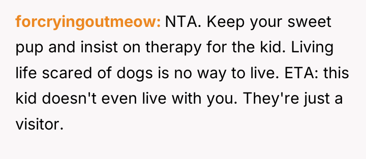 forcryingoutmeow NTA. Keep your sweet pup and insist on therapy...