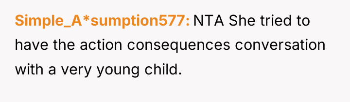 Simple_A*sumption577 NTA She tried to have the action consequences conversation...