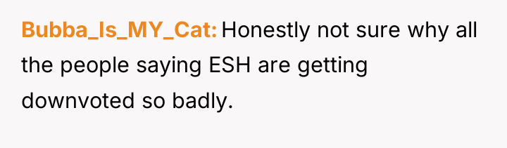 Bubba_Is_MY_Cat Honestly not sure why all the people saying ESH...