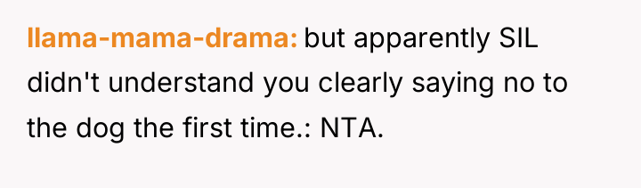 llama-mama-drama but apparently SIL didn't understand you clearly saying no...