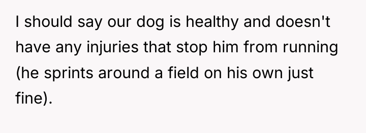 I should say our dog is healthy and doesn't have...