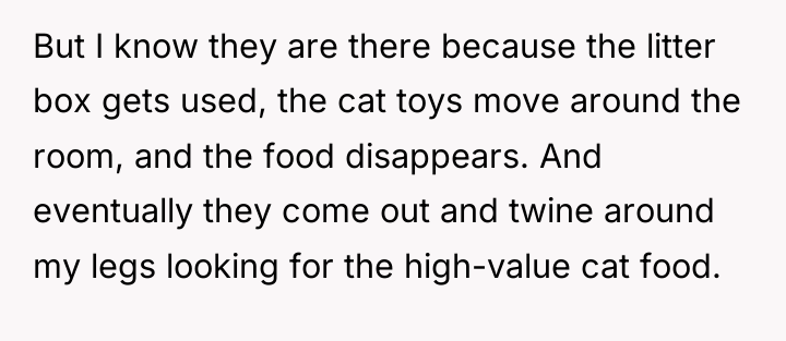 But I know they are there because the litter box...