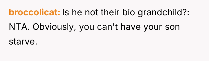 broccolicat Is he not their bio grandchild?: NTA. Obviously, you...