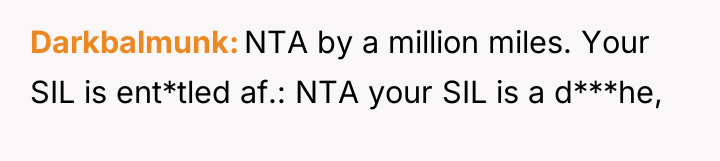 Darkbalmunk NTA by a million miles. Your SIL is ent*tled...