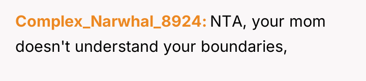 Complex_Narwhal_8924 NTA, your mom doesn't understand your boundaries,