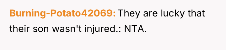 Burning-Potato42069 They are lucky that their son wasn't injured.: NTA.