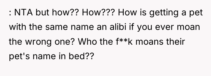 : NTA but how?? How??? How is getting a pet...